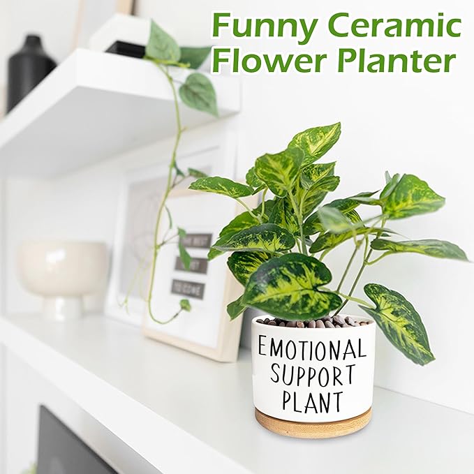 Kwtzkuo® Emotional Support Plant, Funny Succulent Pots, 3.5 inch Ceramic Flower Plant Pots, Cute Cactus Planters with Drainage Hole, Small Cute Planter Gift