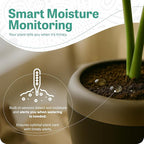 PLANTPETZ Large Robotic Planter – Smart Planter Fits 4 Inch Pots | Bluetooth Speaker | Interactive Smart Plant Pot Turns A Real Plant Into a Touch/Motion Responsive Companion - Charcoal
