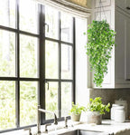 RECUTMS Artificial Hanging Plant - Faux Ivy Vine With White UV Resistant Leaves for Room, Office, Wall Decor (White)