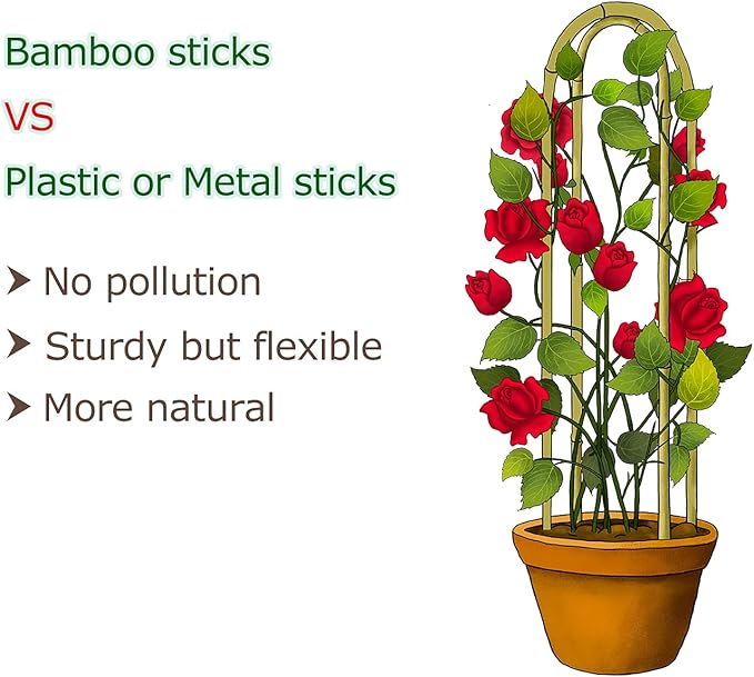 Cambaverd Natural Bamboo Trellis for Climbing Plants Indoor Outdoor, 3 Feet Garden Arch Trellis for Potted Plants, 3 Pack Large Plant Trellises