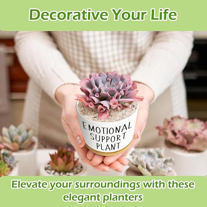 Kwtzkuo® Emotional Support Plant, Funny Succulent Pots, 3.5 inch Ceramic Flower Plant Pots, Cute Cactus Planters with Drainage Hole, Small Cute Planter Gift