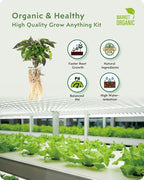 URUQ 140Pcs Hydroponic Pods Supplies: Compatible with AeroGarden Grow Anything Herb Kits - Includes Grow Sponges Grow Baskets Grow Domes Labels - Hydroponics Supplies for Most Brand