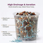 Molly's Orchid Potting Mix - Premium Gritty Soilless Orchid Mix - Chunky High Drainage vs Standard Potting Soil for Indoor Plants - Contains Bark, Coco Chips, Akadama, Pumice, Lava Rock 3 Dry Quarts