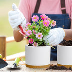 Large Plant Pots Set of 3 – 8", 9", 10" Indoor Flower Pots with Drainage Holes and Saucers, Big Planters for Monstera, Fiddle Leaf Fig, Snake Plant – 5 Colors