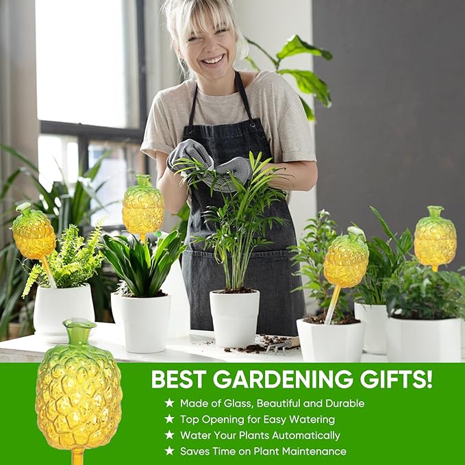 DDMY Plant Watering Globes, 270ML Large Capacity Self Watering Planter Insert for Indoor & Outdoor Plants Self Plant Watering Devices for Plant Lovers, Glass Watering Globes for Everyday Use (3 Pack)