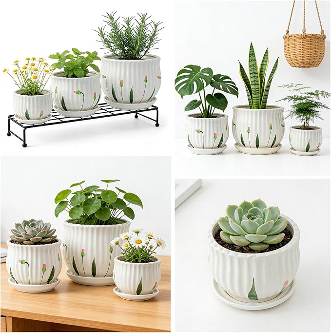 SHECIPIN Plant Pots for Indoor Plants Set of 3, 4+5.3+6.7 Inch Ceramic Plant Pots with Drainage Hole，Cute Garden Pots Succulent Pots with Saucer