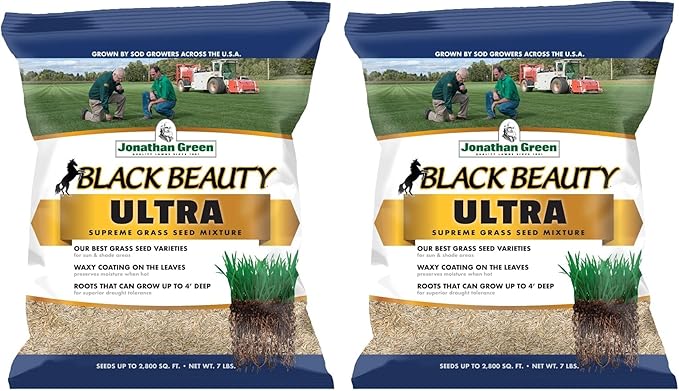 Jonathan Green (10322) Black Beauty Ultra Grass Seed - Cool Season Lawn Seed (7 lb) (Pack of 2)