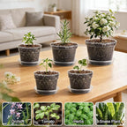 15 Pack 8/7/6 Inch Clear Nursery Pots with Saucer, Transparent Plastic Plant Pot with Drainage Hole, Sturdy Planting Starter Pots for Gardening Flower Herb Vegetable