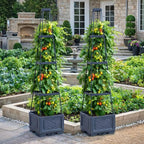 2PCS Rolling Raised Garden Bed Tomato Planter with Trellis, 57" Self-Watering Tomato Cage Planters Box for Climbing Plants Vegetable Flower Patio Garden Balcony Outdoor & Indoor (with Wheels)