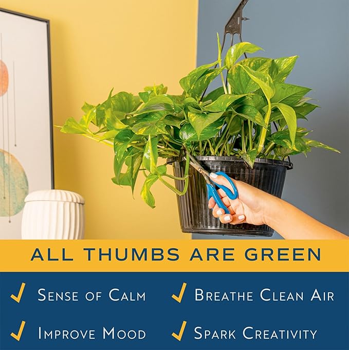 Costa Farms Golden Pothos Live Plant, 10-Inch Hanging Basket, Large Devil's Ivy Trailing Indoor Houseplant, Low Light Easy Care, Boho Home Decor, Housewarming Gift