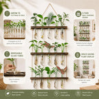 3 Tier Wall Hanging Propagation Stations with 15 Glass Test Tubes, Plant Terrarium Propagation Tubes Planter for Hydroponic Cuttings, Window Decor Gift for Plant Lovers