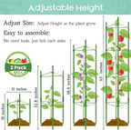 Legigo 2-Pack Tomato Cage for Garden Plant Support- Up to 63inch Garden Stakes Tomato Cage, Tomato Trellis for Potted Plants, Tomato Cages Plant Stakes for Climbing Vegetables Plants Flowers