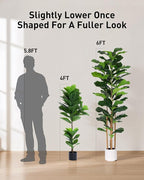 Fiddle Leaf Fig Tree, 6FT Faux Trees Indoor,Tall FakeTree with Decorative planters,Natural Wood Trunk & Realistic Fiddle Leaf, Artificial Plants for Home Office, Living Room, Outdoor