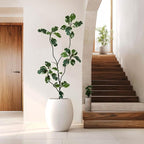 AfanD 6FT Artificial Rubber Tree – Realistic Variegated Ficus with Natural Trunk, Faux Indoor Plant for Living Room, Office, Bedroom & Commercial Decor, No Maintenance