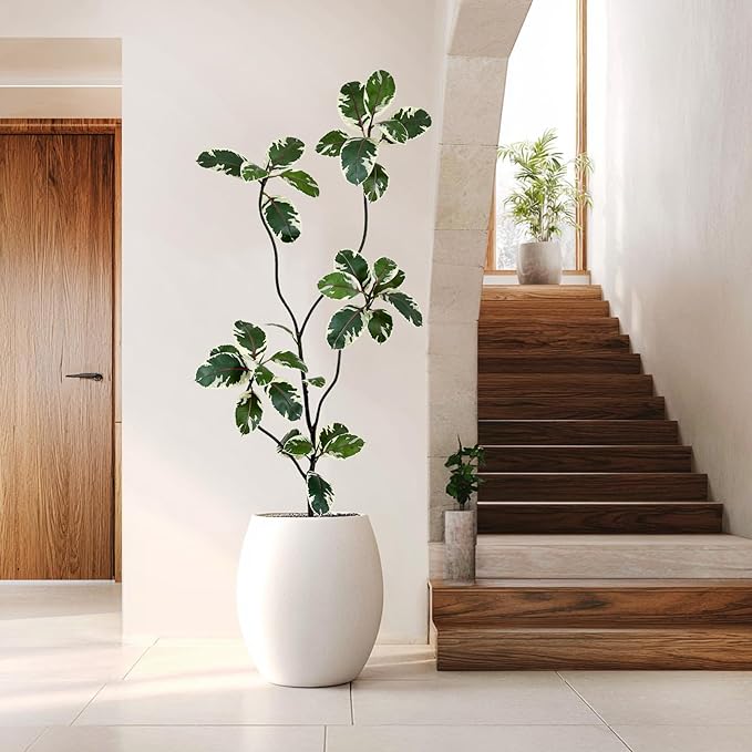 AfanD 6FT Artificial Rubber Tree – Realistic Variegated Ficus with Natural Trunk, Faux Indoor Plant for Living Room, Office, Bedroom & Commercial Decor, No Maintenance