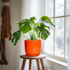 7 Inch Plant Pot - Ceramic Planter with Drainage Hole and Saucer, Modern Round Ceramic Flower Pot for Indoor Outdoor Plants, Plant Lover Gifts, Home Garden Office Decor, Orange