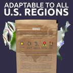 Borage Seeds – Bulk Quarter Pound Bag – Over 5,000 Open Pollinated Non-GMO Wildflower Seeds – Borago officianalis