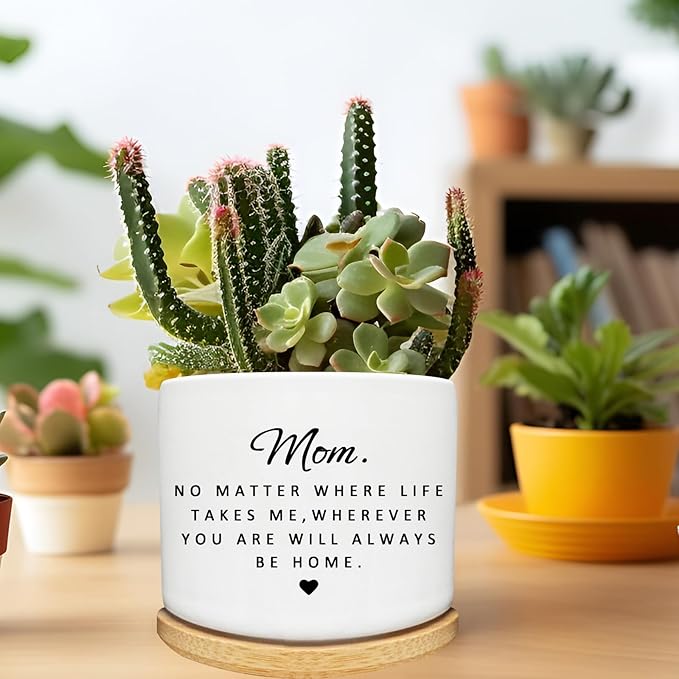 Mom Gifts from Daughter Son, Succulent Cactus Cute Planter Plant Pots Gifts for Mom, for Mom Mama Mother, Mom Birthday Gifts, Best Mom Ever Gifts, Gardening Gifts for Mom