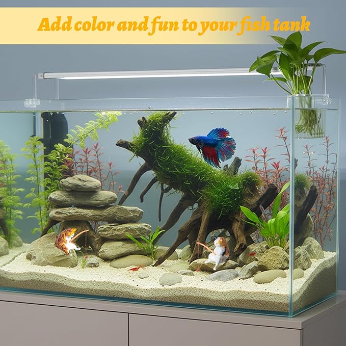 2 Pcs Aquarium Plant Holder, Fish Tank Plant Holder with Transparent Clamp for Cat Aquarium Plant Stand, Anti-Digging Tank Decor for Home Office Use by Fish Keepers with Cats