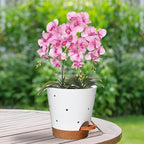 Vanslogreen Orchid Pots with Holes, 6 Inch Self Watering Orchid Pot 2 Pack Plastic Plant Pots for Orchid, Flower (White+Brown)