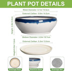 SQOWL Succulent Planters 6 Inch - Ceramic Bonsai Pots with Drainage Hole and Saucer, Round Shallow Planter for Indoor Outdoor Plants, Ceramic Cactus Pot, Apartment Decor, Gifts for Women, Blue-Beige