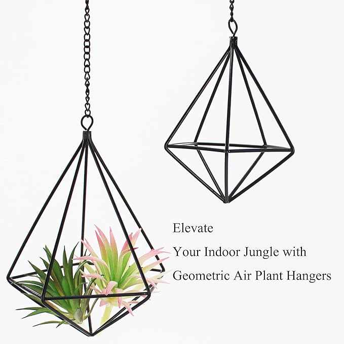 Geometric Air Plant Hangers - 4 Pack Black Metal Tillandsia Display Cages, Hanging Air Plant Holders for Indoor Plants Decor, Air Fern Frame