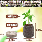 ZeeDix 55Pcs 36mm Peat Pellets for Seedlings, Seed Starter Pods Seed Starting Plugs Soil, Compressed Nutrient Block Potting Soil Discs Pellet for Planting Herbs Flowers Vegetables