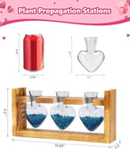 Nacome Plant Terrarium Propagation Stations: Mothers Day Gifts for Mom Plant Lovers Women Wife Daughter - 3 Bulb Glass Vase with Wooden Stand Tabletop for Hydroponics Home Garden Decor(Gray)