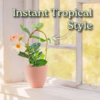 Giant Peach Mandevilla Vine – 1 Gallon, 16” to 20” Tall – Climbing Tropical Flowering Plant – Large Peach Blooms – Perfect for Trellis, Arbors & Containers – Thrives in Full Sun