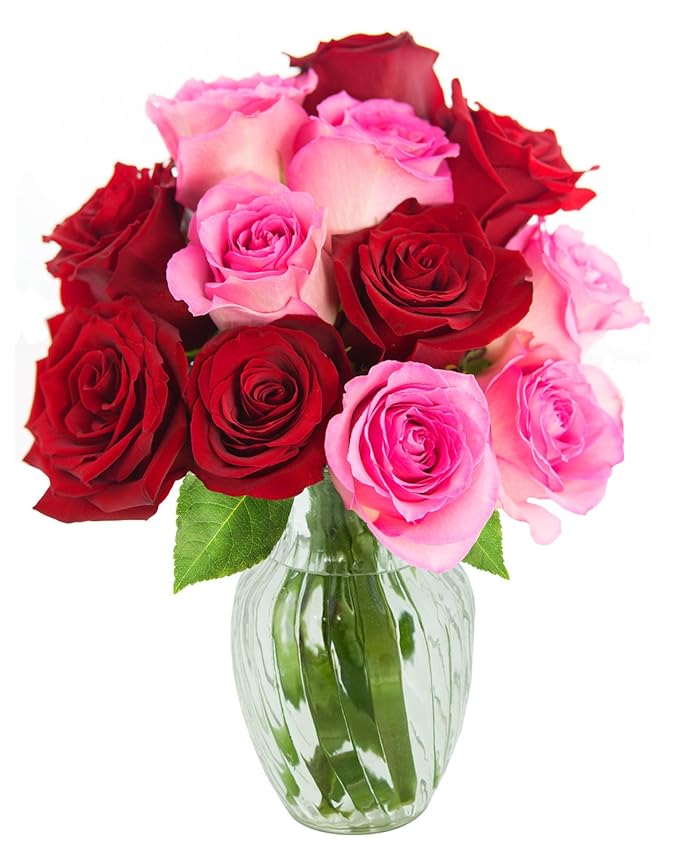KaBloom PRIME NEXT DAY DELIVERY - Romantic Red and pink Rose Bouquet of 6 Red and 6 Pink Roses with Vase.Gift for Birthday, Sympathy, Anniversary, Thank You, Valentine, Mother’s Day Fresh Flowers