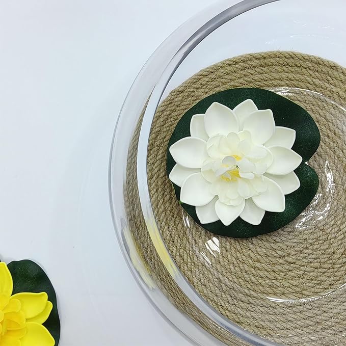 10" Large Glass Lotus Bowl Planter with Braided Tray Round Clear Glass Water Lily Flower Pot Indoor Hydroponic Aquatic Plant Bonsai Vase Can As a Fish Tank