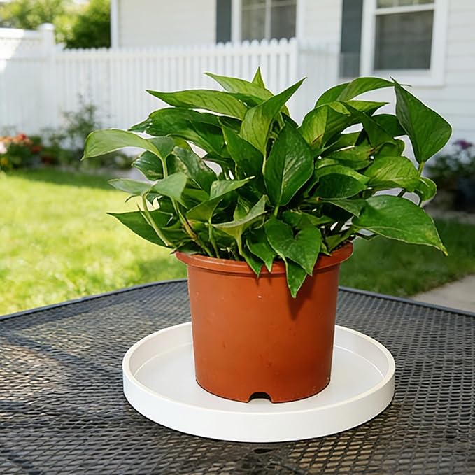 4 Pack 4 inch Plant Saucer Drip Tray, Heavy Sturdy Plastic Planter Flower Pot Drainage Tray Plate Saucers for Indoor Outdoor Garden, Plant Water Drip Trays for pots Base (4", Creamy White)