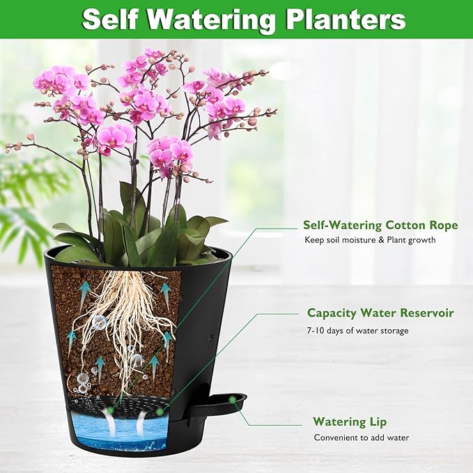 Vanslogreen Orchid Pots with Holes, 6 Inch Self Watering Orchid Pot 2 Pack Plastic Plant Pots for Orchid, Flower (Black)