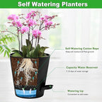 Vanslogreen Orchid Pots with Holes, 6 Inch Self Watering Orchid Pot 2 Pack Plastic Plant Pots for Orchid, Flower (Black)