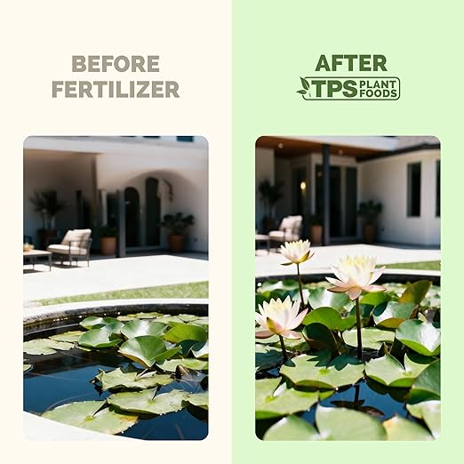Lotus Fertilizer – Fish Safe Liquid Plant Food for Bigger Lotus Blooms & Stronger Roots 8 oz