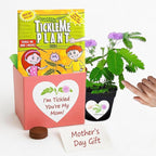 Mother’s Day Gift for Mom – TickleMe Plant – Moves When Touched – Grows Pink Flowers – “I’m Tickled You’re My Mom” – Unique Gift from Kids – Easy Indoor Kit