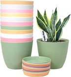 SwinDuck 6 Inch Plant Pots, 12 Pack Plastic Planters Modern Flower Pot with Drainage Holes and Saucers for All House Plants, Herbs, Flowers and Seeding Nursery, Colorful