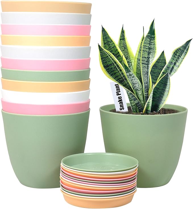 SwinDuck 6 Inch Plant Pots, 12 Pack Plastic Planters Modern Flower Pot with Drainage Holes and Saucers for All House Plants, Herbs, Flowers and Seeding Nursery, Colorful
