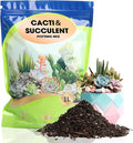 Succulent and Cactus Soil Potting Mix 4qt-Premium Breathable & Fast Draining for Healthy Plants