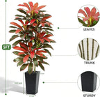 Artificial Red Dracaena Tree - 5FT Tall Fake Plants with Black Square Planter - Artificial Plants Indoor Floor Plant in Pot - Large Tropical Fake Yucca Potted Tree for Home Office Living Room Decor