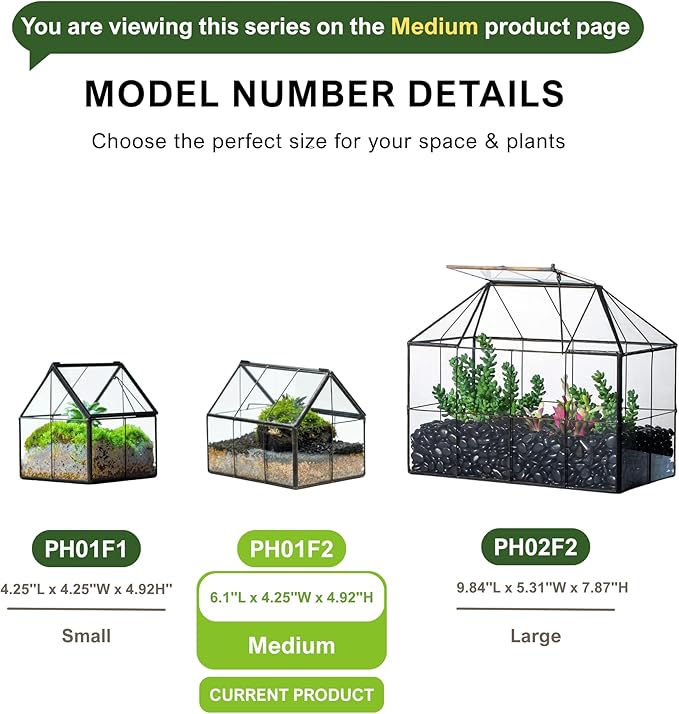 NCYP Mini Glass Terrarium with Lid - 6.1" x 4.25" x 4.92" House Shape Closed Planter Pot for Small Cactus, Succulents Plant - Home Garden Office Tabletop Geometric Decor, Black (Terrarium Only)