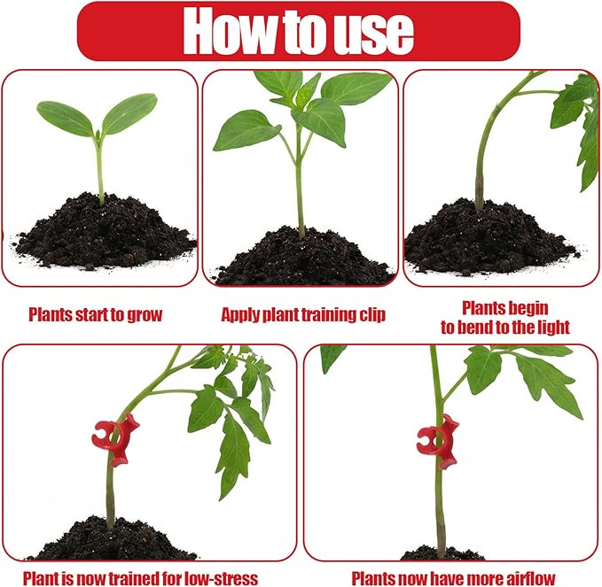Nogeqi 60 Pcs Plant Training Clips, 90 Degrees Bud Clips, Low Stress Training Clip, Plastic Plant Bender Clip (Circle Style,Red)