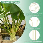 M METERXITY 3-Pack Monstera Plant Support, 11x5.9 Inch Reusable Sturdy Alloy Plant Support Stakes Unique Design for Potted Plants Flowers/Vegetables/Indoor Outdoor Climbing Plants [Gold]