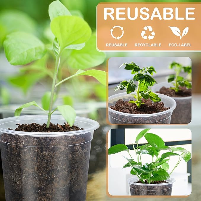 15 Pack Clear Nursery Pots with Drainage Holes, 3 Inch Seed Starting Plastic Plant Pots, Transparent Variety Pack Flexible Garden Pot for Outdoor Indoor (Clear, 3 Inch)