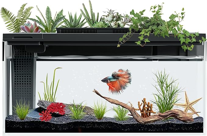 ERAARK 3.7 Gallon Betta Fish Tank self Cleaning,Smart Aquarium Aquarium kit with Filter Light Water Pump (Black)