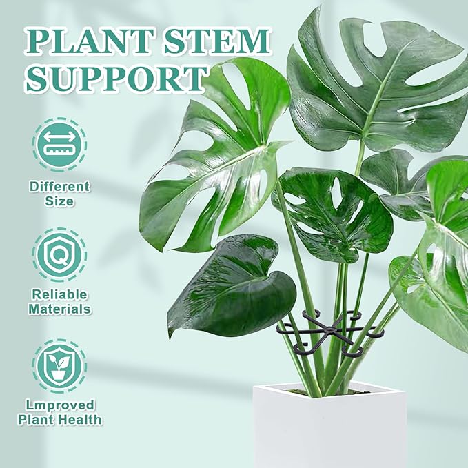 8pcs Plant Stem Support, Plant Support for Indoor Plants, Plastic Reusable Plant Stabilizer, Indoor Plants Accessories