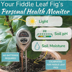 Houseplant Resource Center Fiddle Leaf Fig 3-in-1 Soil Moisture Meter for Plants – Best Indoor Plant Water Meter for Potted Houseplants - Light & Moisture Sensor Probe for Optimal Growth