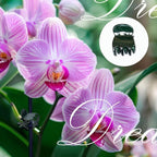 30 pcs Plant Clips, Orchid Clips Plant Orchid Support Clips Flower and Vine Clips for Supporting Stems Vines Grow Upright Dark Green