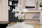 27" White Orchid Arrangement in a Grey Stonelike Planter | Real Touch White Moth Orchids in a Grey Planter by Fiori Sempre