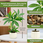 Small Money Tree Bonsai 15.2inch Artificial Desk Plant in White Ceramic Pot, Realistic Indoor Faux Potted Pachira Money Plant for Home Office Living Room Decor(Maintenance Free)